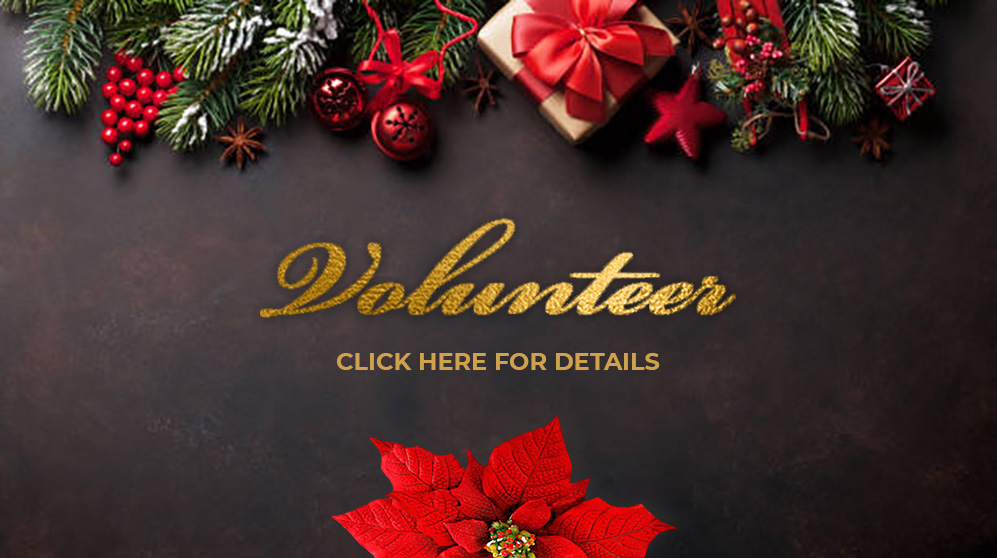 Christmas Carols & Friends Volunteers